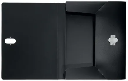 LEITZ Ekologický box na dokumenty RECYCLE, PP, černá